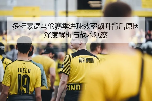 多特蒙德马伦赛季进球效率飙升背后原因深度解析与战术观察
